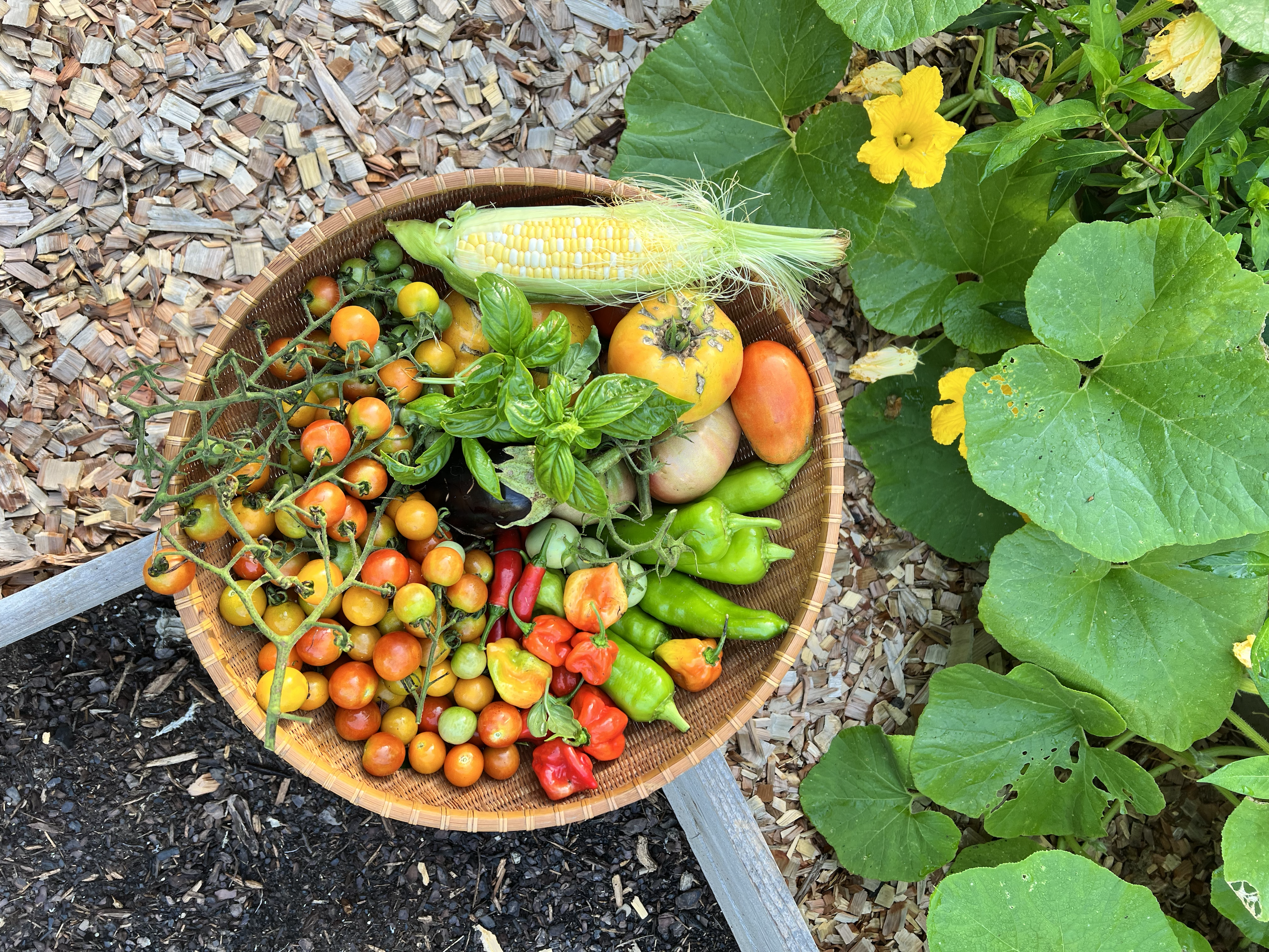 How Choosing Your Food Mindfully Can Benefit the Environment